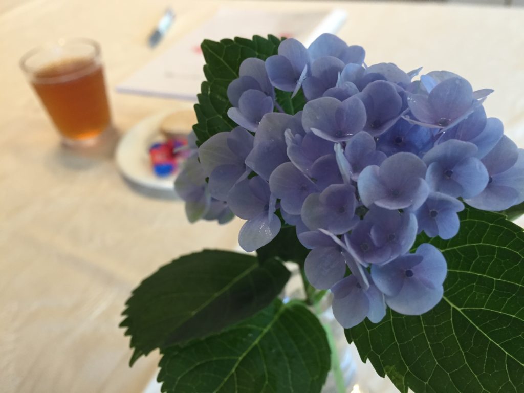 ペアトレ アジサイ