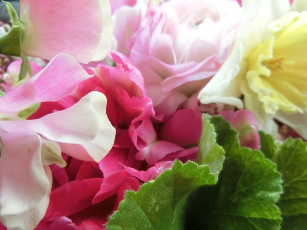 淡い春の花　ペアレントトレーニング